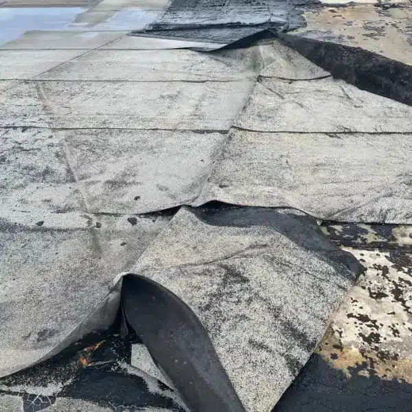 Damaged Roof