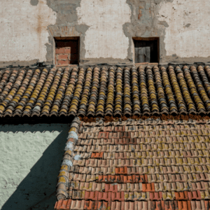 A deteriorating clay tile roof with visible mold, mildew, and discoloration, emphasizing the importance of regular cleaning and maintenance to prevent moisture-related damage in humid climates.