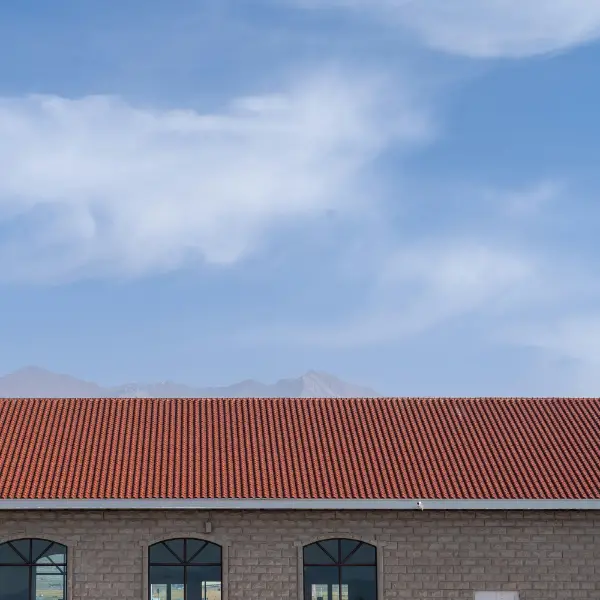 Medical Facility Roof