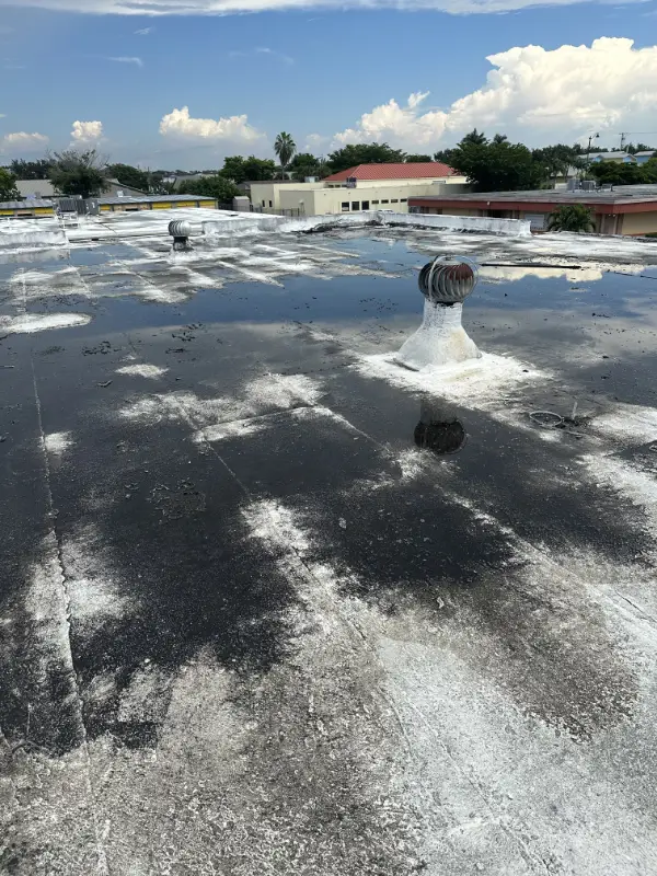 Damaged commercial flat roof with standing water after a Florida storm, highlighting the risks property owners face when roofing issues are exploited by scams.