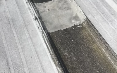 Roofing Horror Stories: Why Contractor License Verification in Florida Is Non-Negotiable