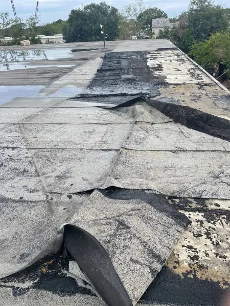 Advanced roof deterioration and failure points