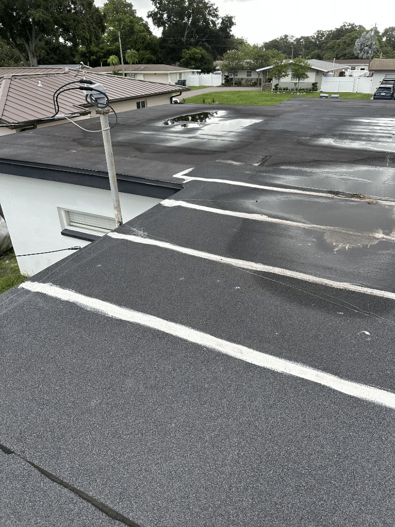 Standing water near a clogged roof drain on a low-slope commercial building, a common trigger for commercial flat roof repair in Sarasota FL