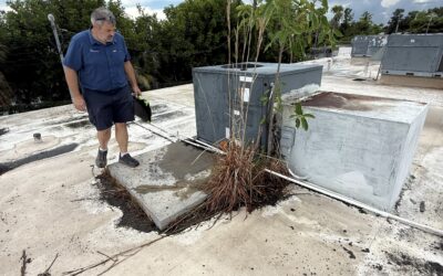 What Fails on Sarasota Flat Roofs and When to Fix It