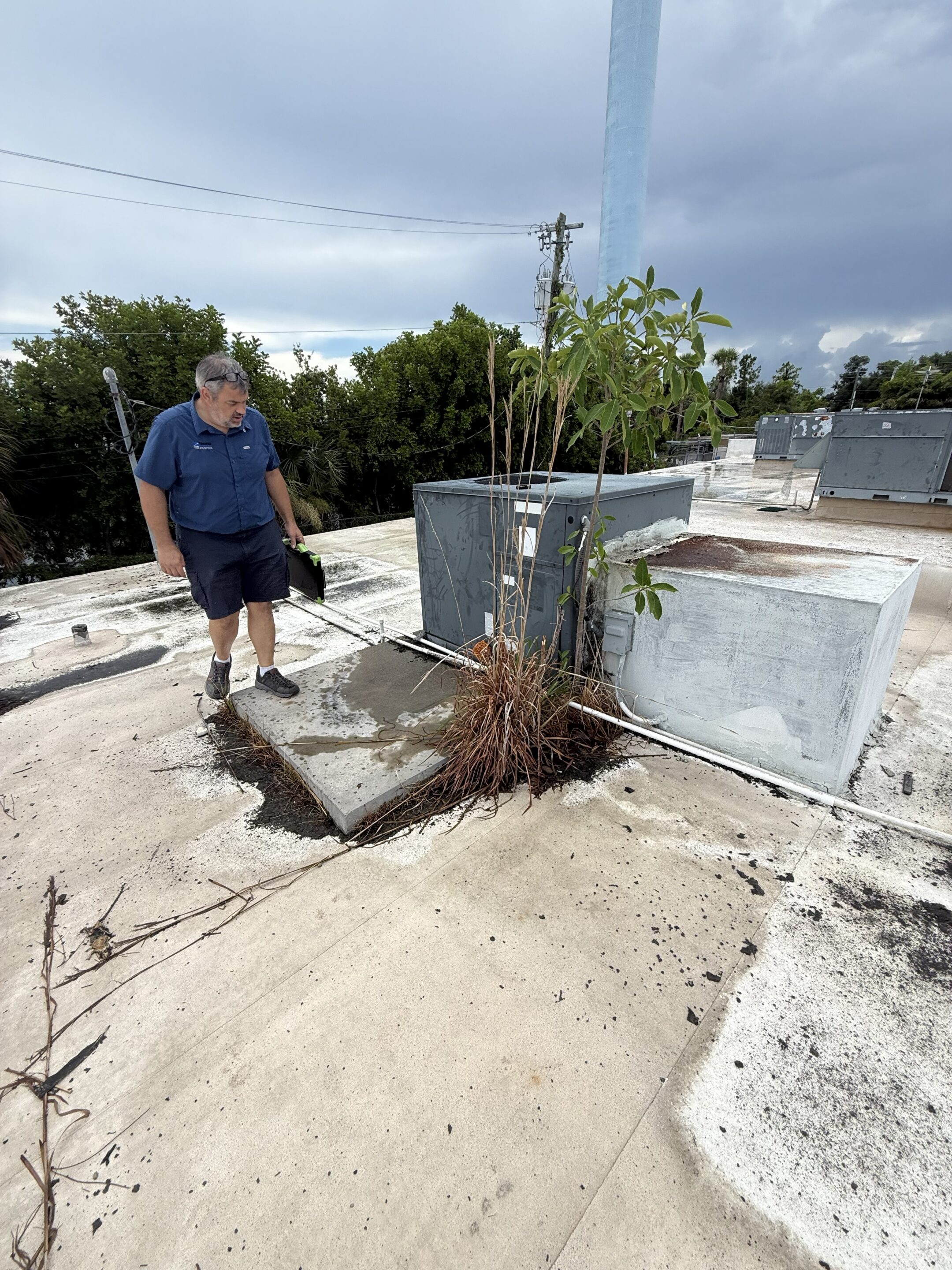 Lester Troyer inspecting a neglected commercial flat roof with weeds and debris around the HVAC units